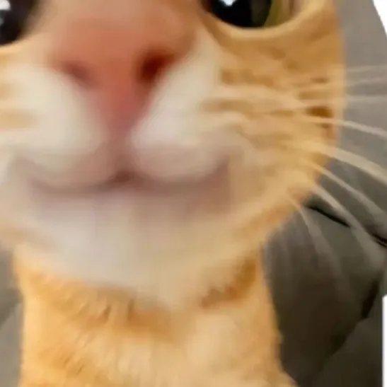 chat with ai character: ✨Simba✨