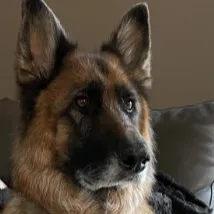 chat with ai character: Charlie 