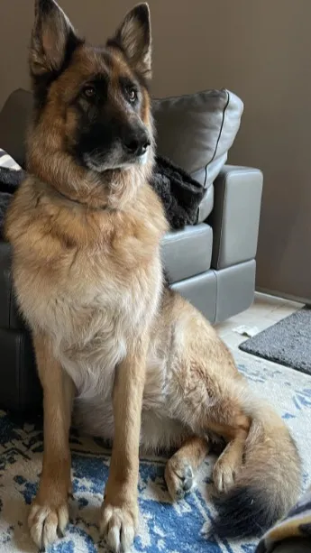 ai character: Charlie  background