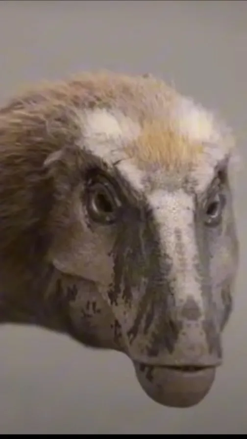 ai character: Toothy background