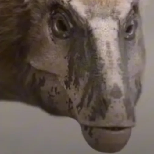 chat with ai character: Toothy