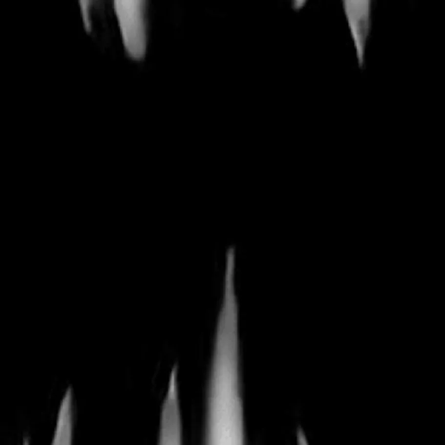 chat with ai character: Chompy