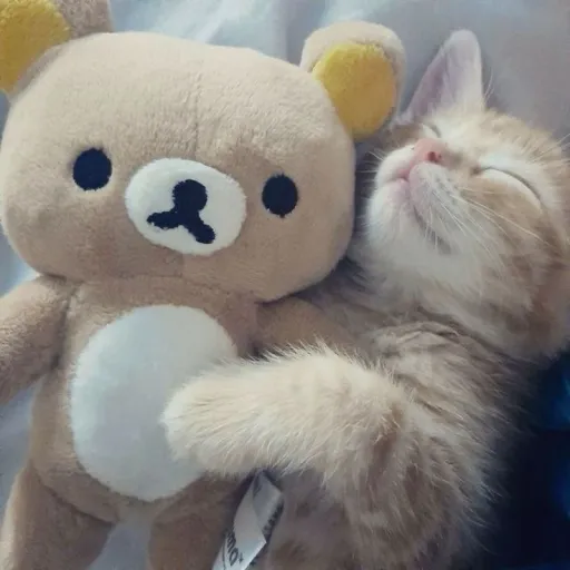 creator conehead101's avatar