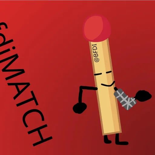 creator bfdiMATCH's avatar