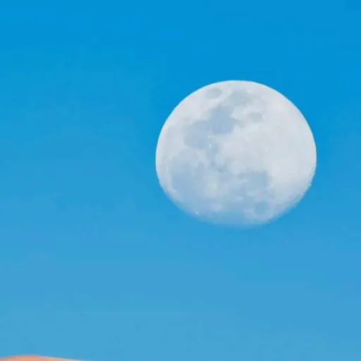 creator Lianm.'s avatar