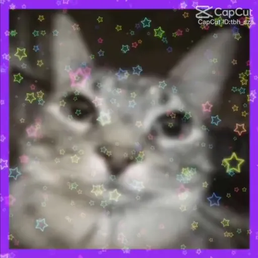 creator Hinako Yukon's avatar