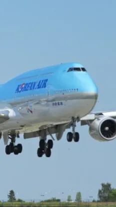 ai character: Flight 801 background