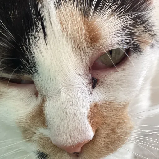 creator Malak loves movies's avatar