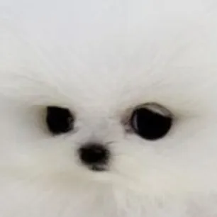 creator Julia9877's avatar