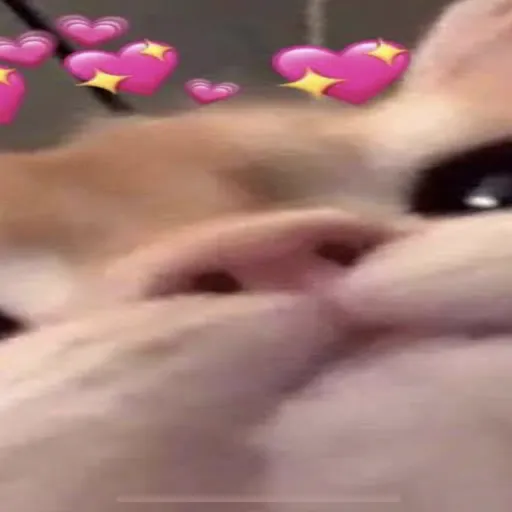 creator Amily tan000_roblo's avatar