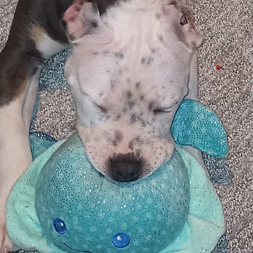 creator ELEANORsamandcolby's avatar