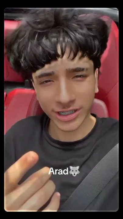 ai character: Arad🐺 background