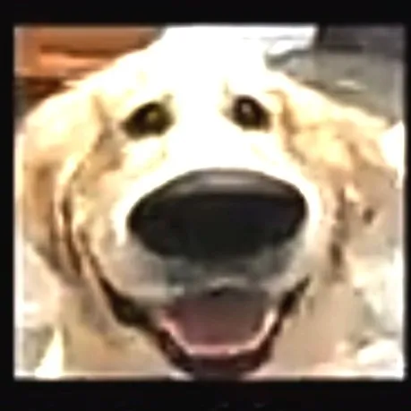 creator OXY_PLUS🇵🇭°'s avatar