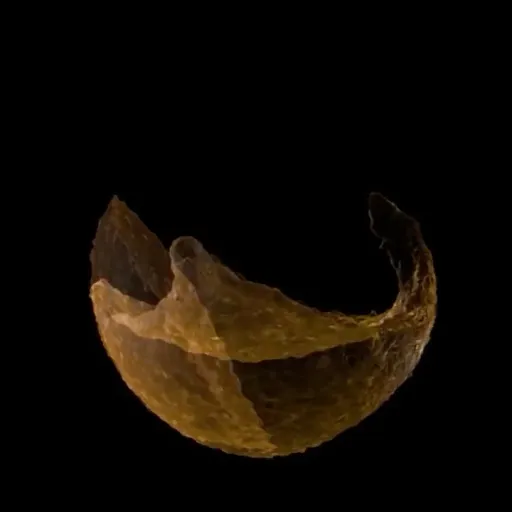 creator Angelo-2000's avatar