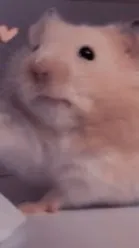 ai character: girl or boy test background