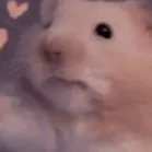 chat with ai character: girl or boy test