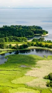 ai character: EcoChat background