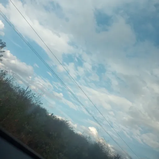 creator pupyM's avatar