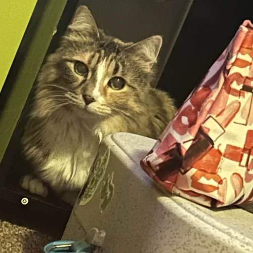 talkie's author avatar