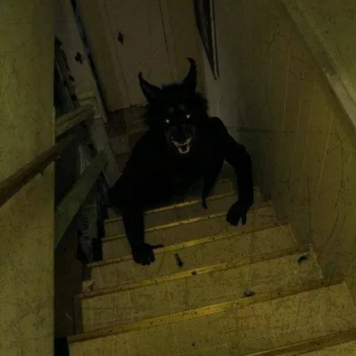 creator the shadown's avatar