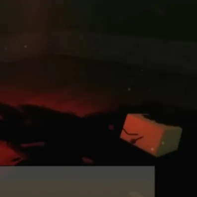 chat with ai character: Where’s vee?