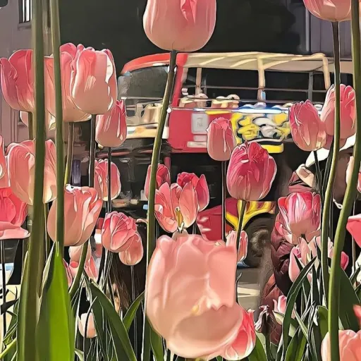 talkie's author avatar