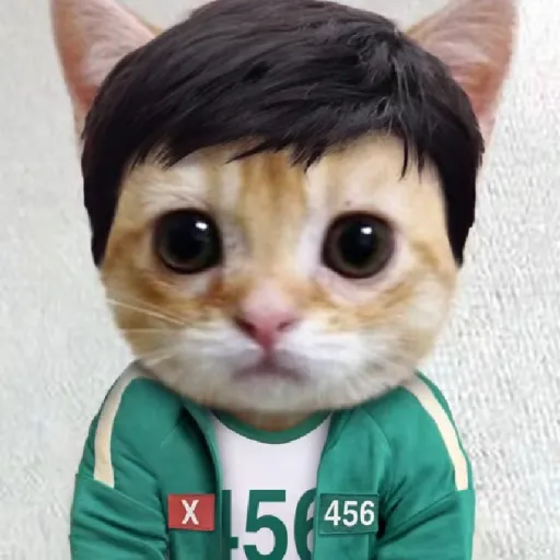 creator gi hun pero furro's avatar