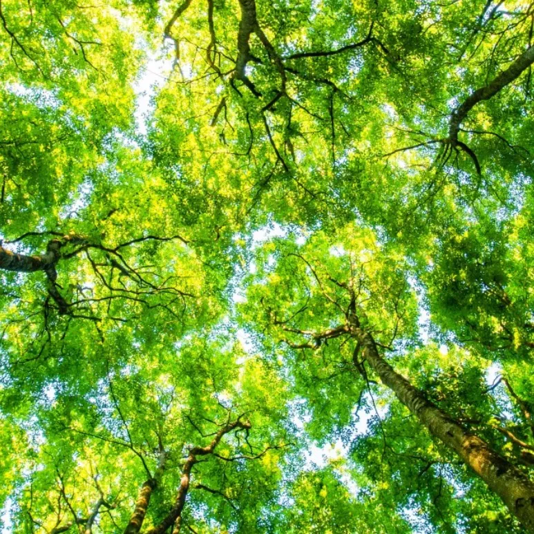 chat with ai character: KNY KAREN