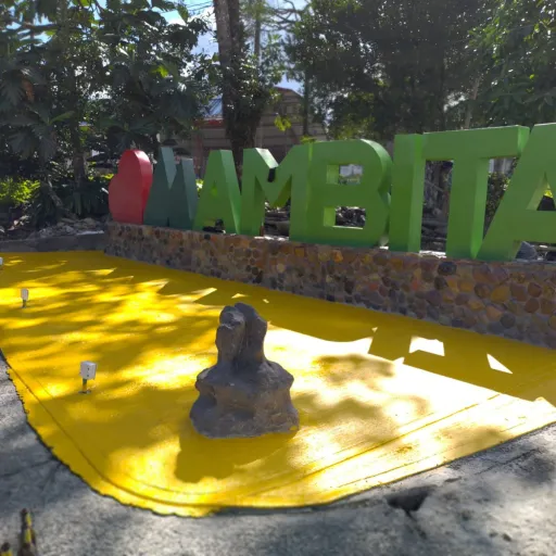 creator Lina P's avatar