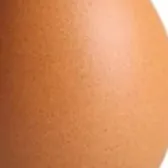 chat with ai character: Egg