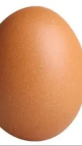 ai character: Egg background