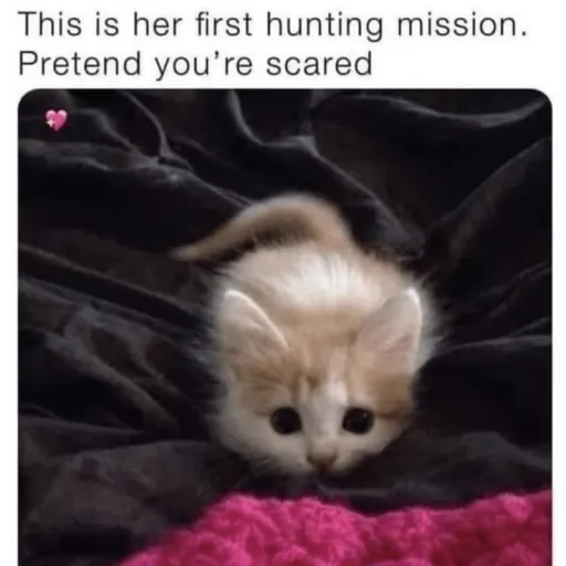 creator 💢𝐔𝐑𝐋⦻𝐂∆𝐀𝐋_𝐏⦻𝐓∆𝐓⦻3💢's avatar