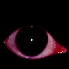 creator la enana freaky xd's avatar