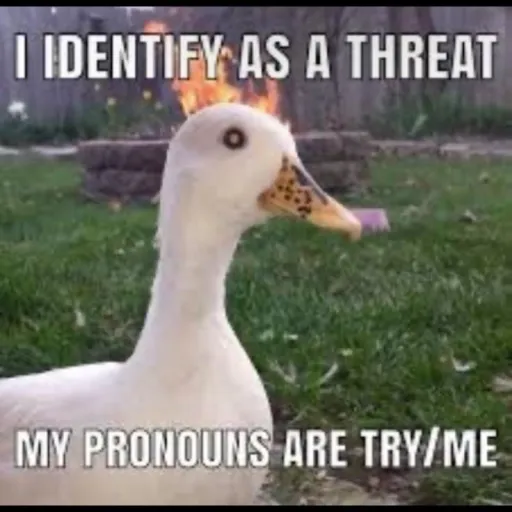 creator wishybearwensday's avatar