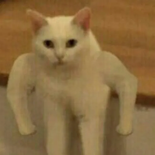 creator Buff4dor0_5992's avatar