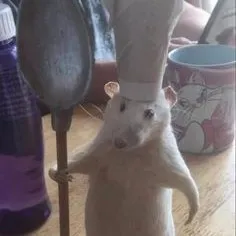 creator ⌑►[ ♍Cassie💙 ]◄⌑'s avatar