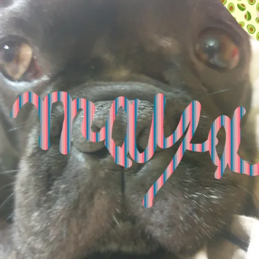 creator 🇮🇹🇦🇱🪐GiOrGiA🪐🇦🇱🇮🇹's avatar