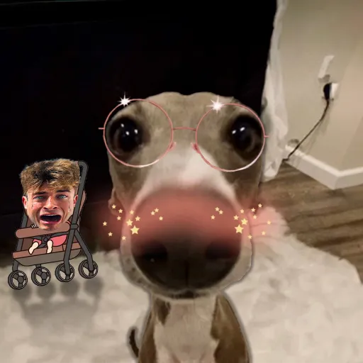 talkie's author avatar