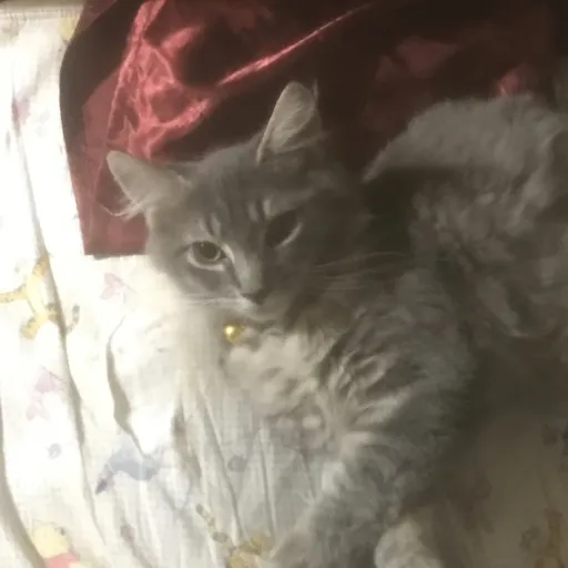 creator Zeroworld's avatar