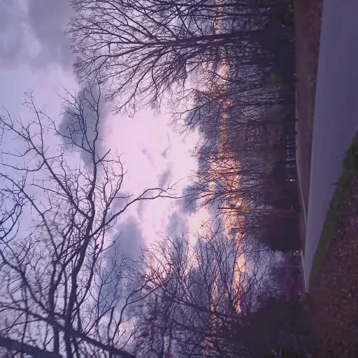 creator i....am dino's avatar