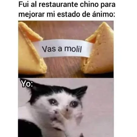 creator Sheeilah's avatar