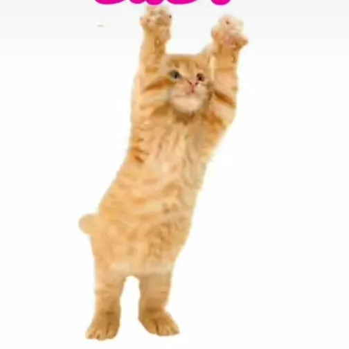 creator ✨✨✨✨Jin✨✨✨✨'s avatar