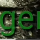 creator Piero_fe's avatar