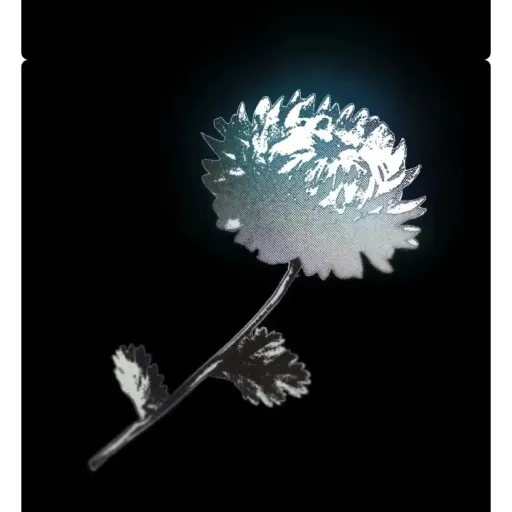 creator _amor_o_traición_'s avatar