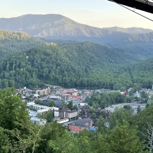 creator T e r e z a ?'s avatar