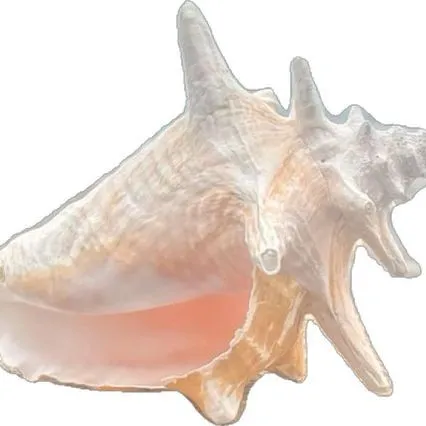 creator Yelena-Cate's avatar