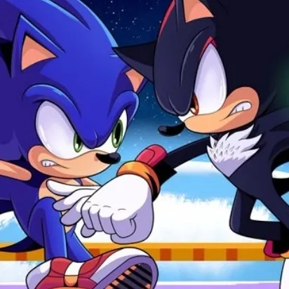 chat with ai character: Shadow Vs Sonic