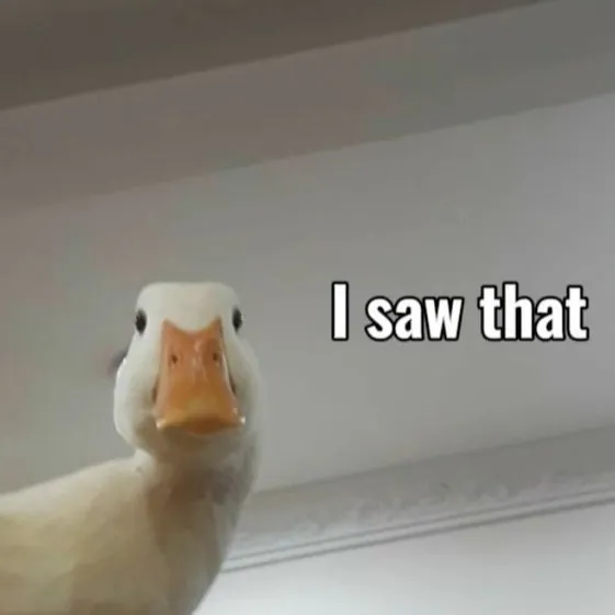 chat with ai character: Mha (bakusquad)