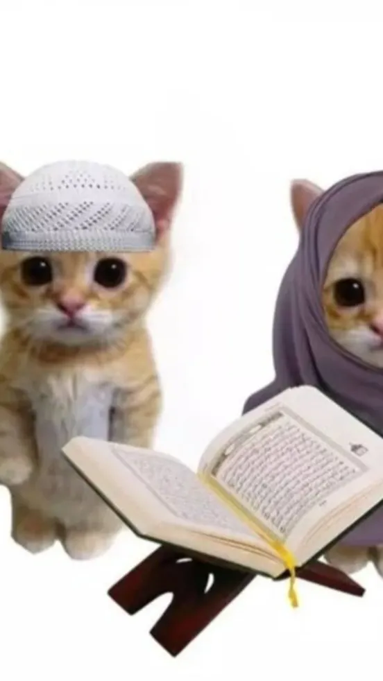 ai character: Muslim School background