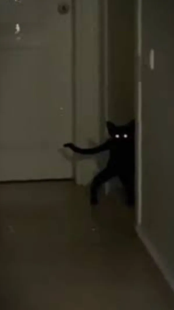 ai character: Ronaldo background